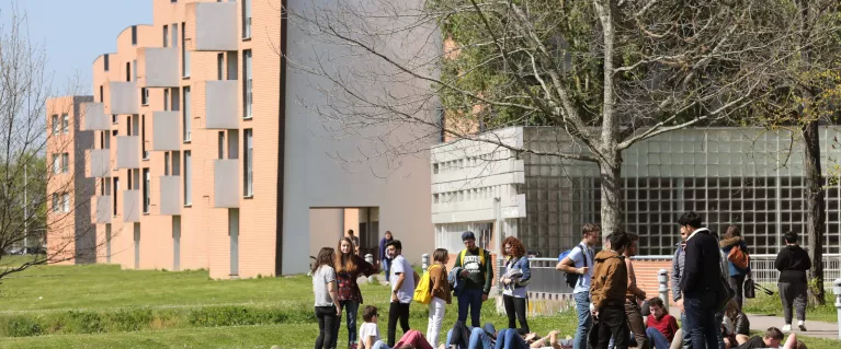 campusimtminesalbi