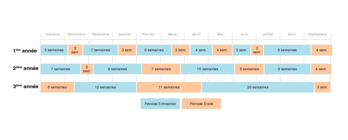 programme-alternance-24-25