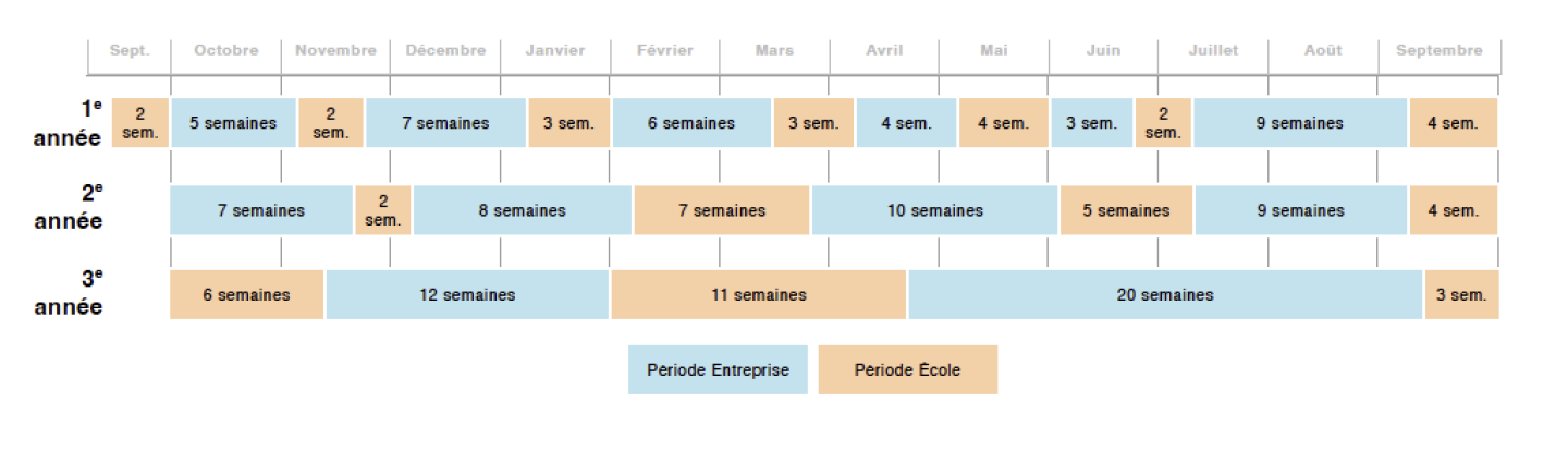 planning-periode-entreprise-ecole-2025