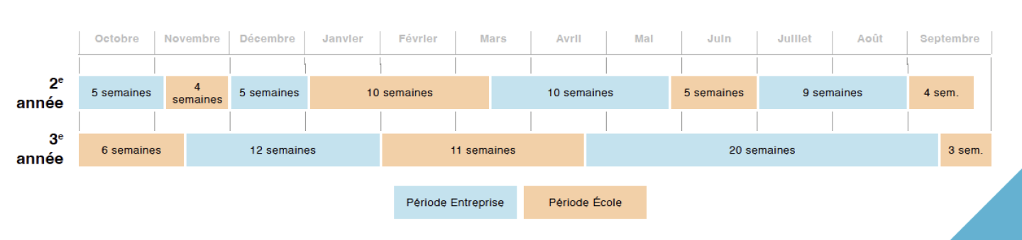 planning-alternance-pharmaciens