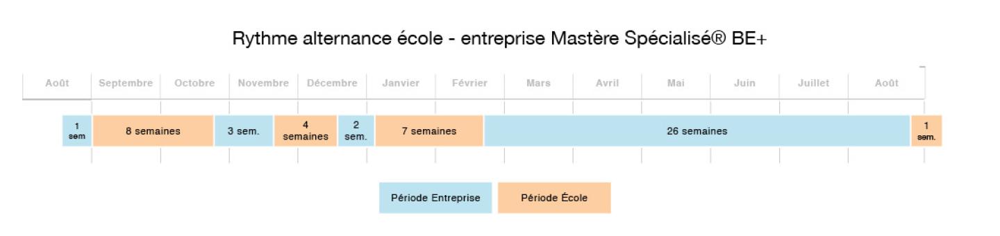 alternance école - entreprise BE+