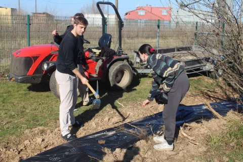 chantier-plantation