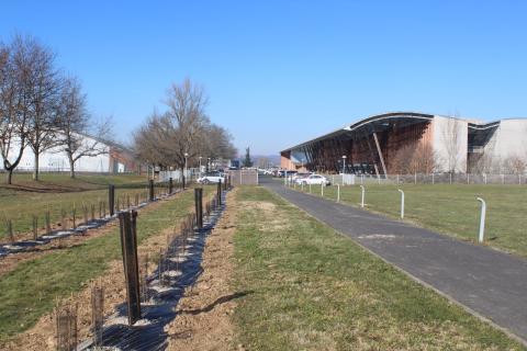 plantation-campus-imt-mines-albi
