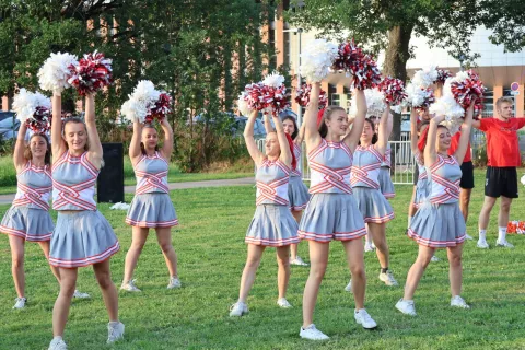 pompoms-albi-ingenieur